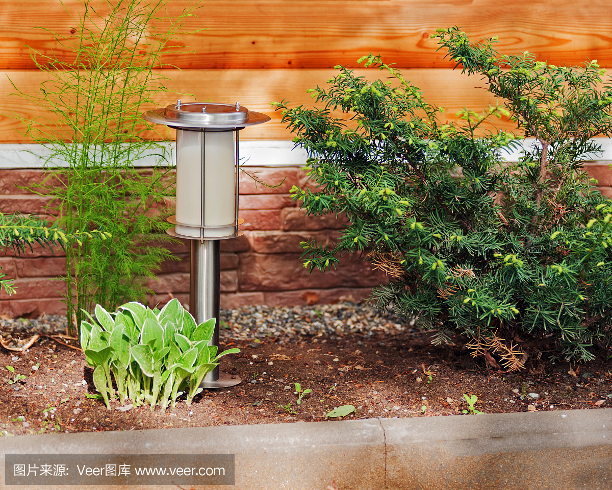 花園背景上的太陽能燈。