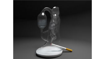 大運(yùn)河文創(chuàng)產(chǎn)品設(shè)計 長信宮燈